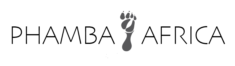 BANTU LOGO review-01